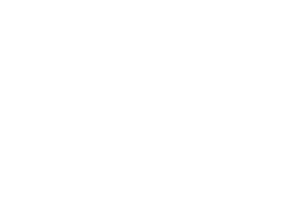 Fleck Group